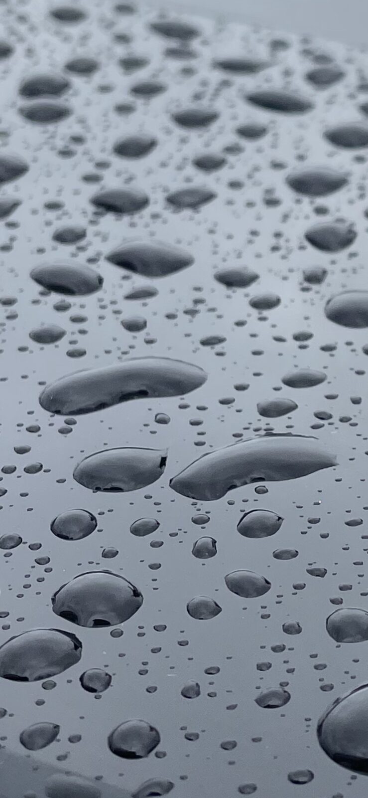 Close-up of water beading on a coated panel